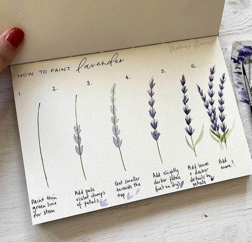 paint lavender