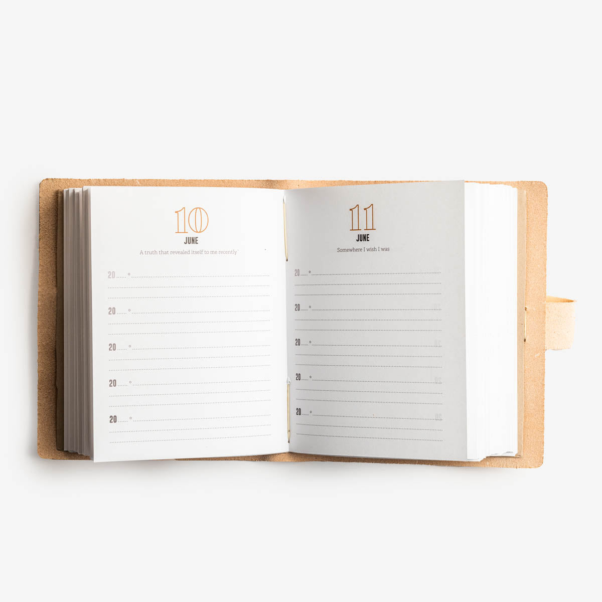 Leather Five Year Journal - Special Edition