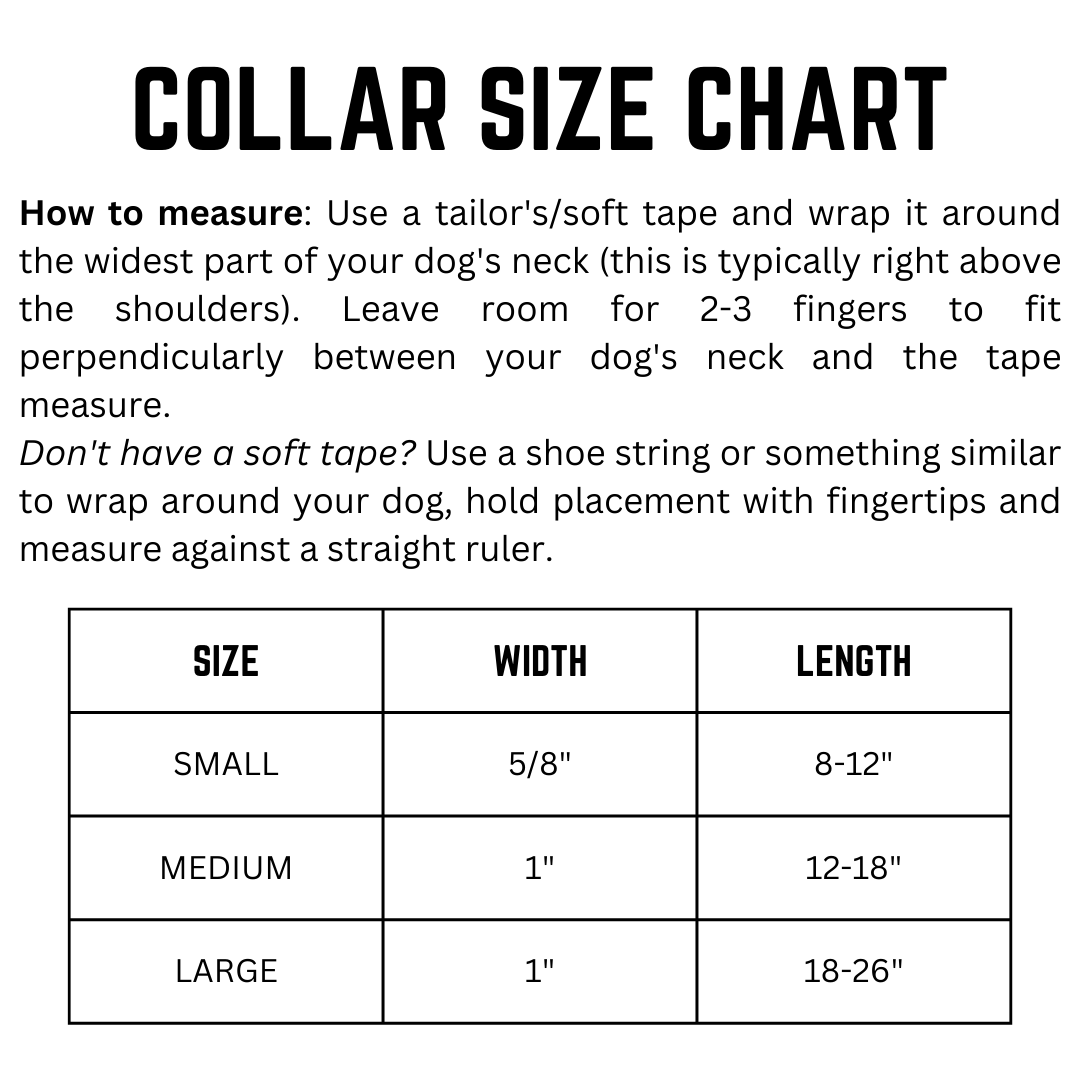 Printed Dog Collar